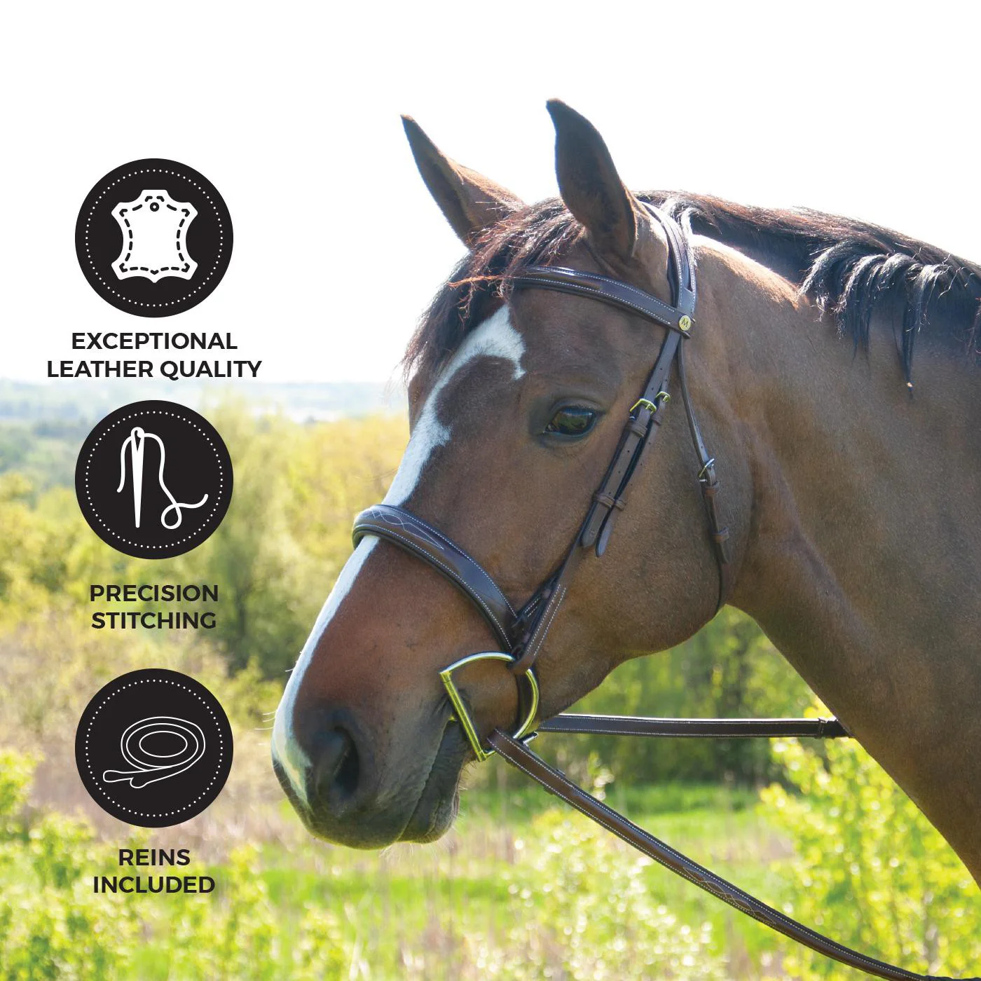 Mondega Coretto Wide Noseband Hunter Bridle - Image 2