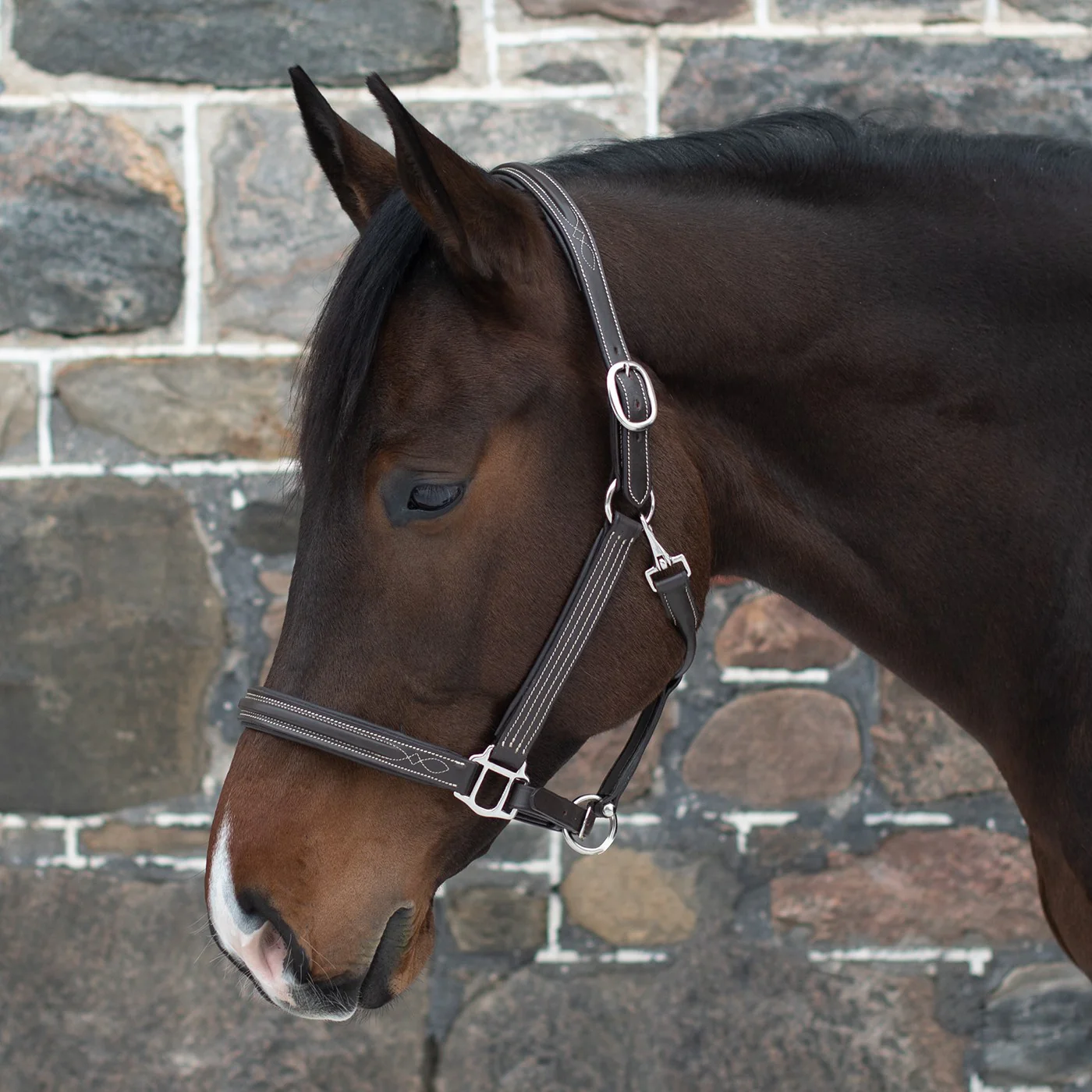 Mondega Raised Fancy Stitched Halter - Image 2