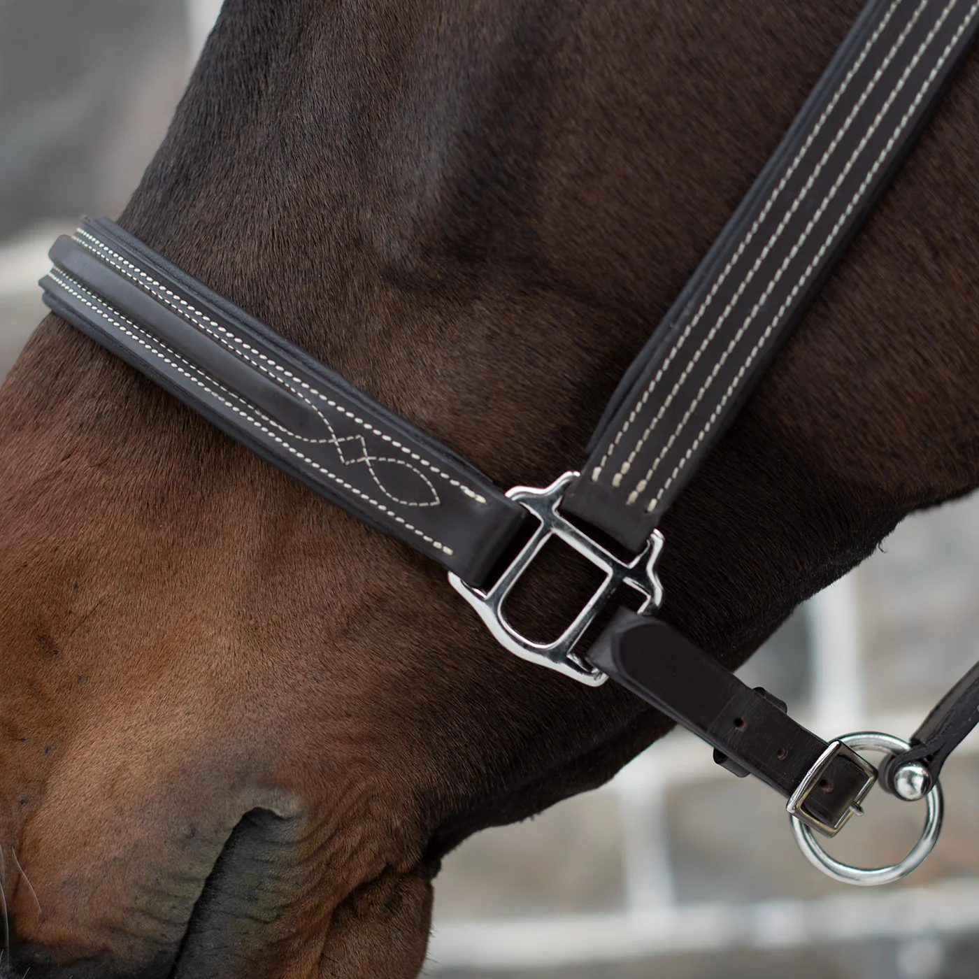 Mondega Raised Fancy Stitched Halter - Image 4