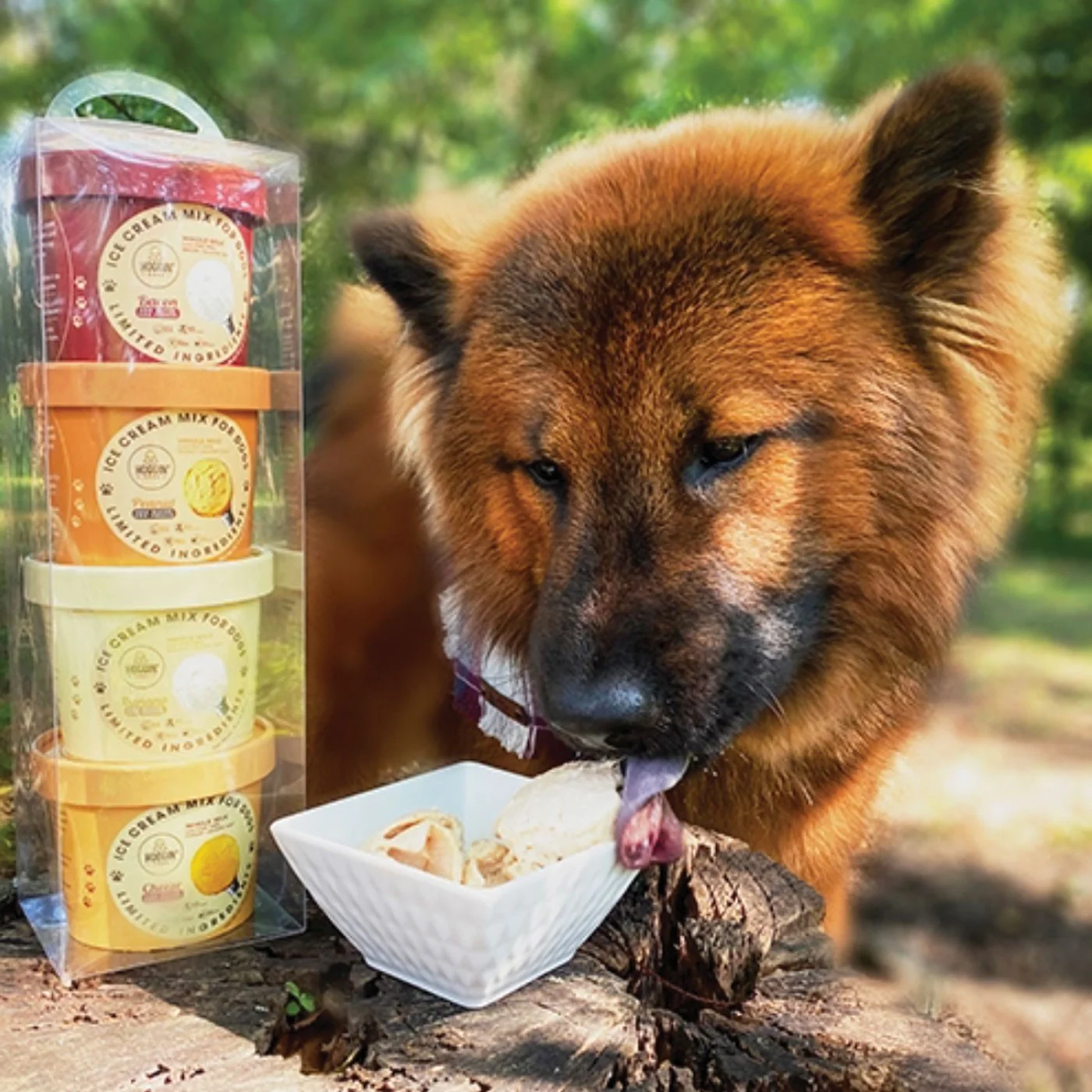 Puppy Cake Hoggin' Dogs Four Flavour Sample Pack - Image 3