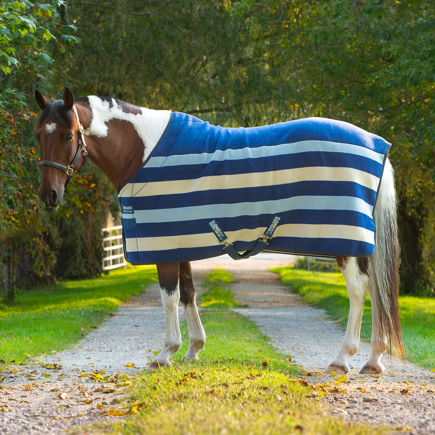 Rambo Deluxe Fleece Cooler