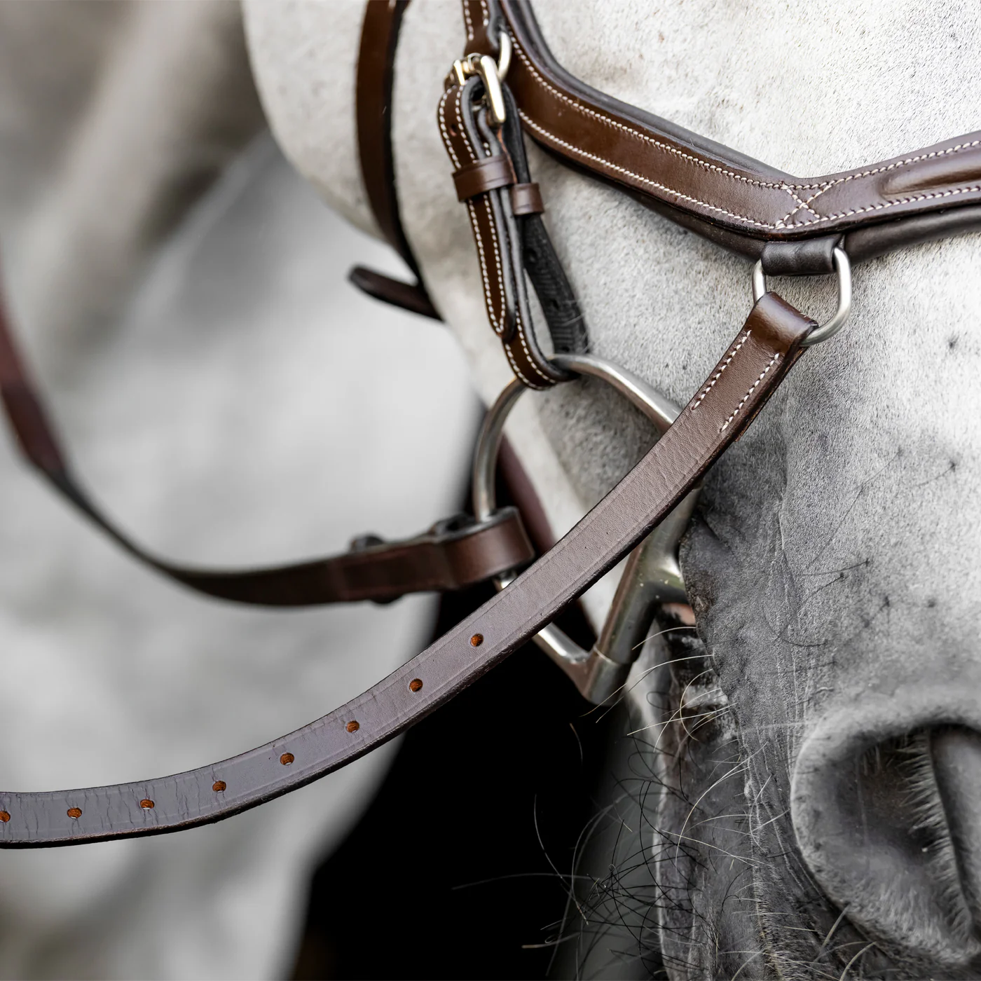 Rambo Micklem Deluxe Competition Bridle W/ Reins - Image 2