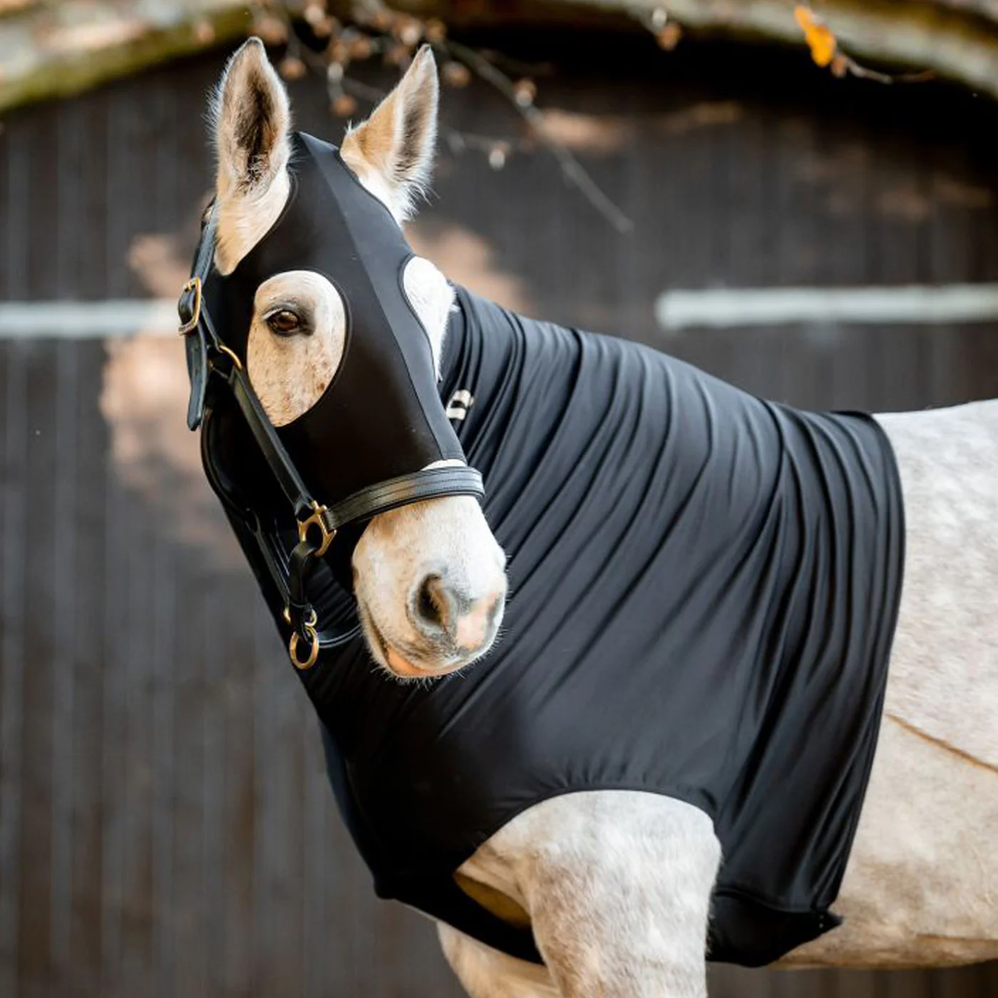 Rambo Slinky Hood - Image 2