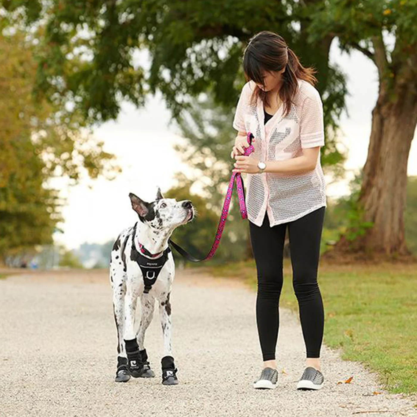 RC Pet Momentum Control Harness - Image 2