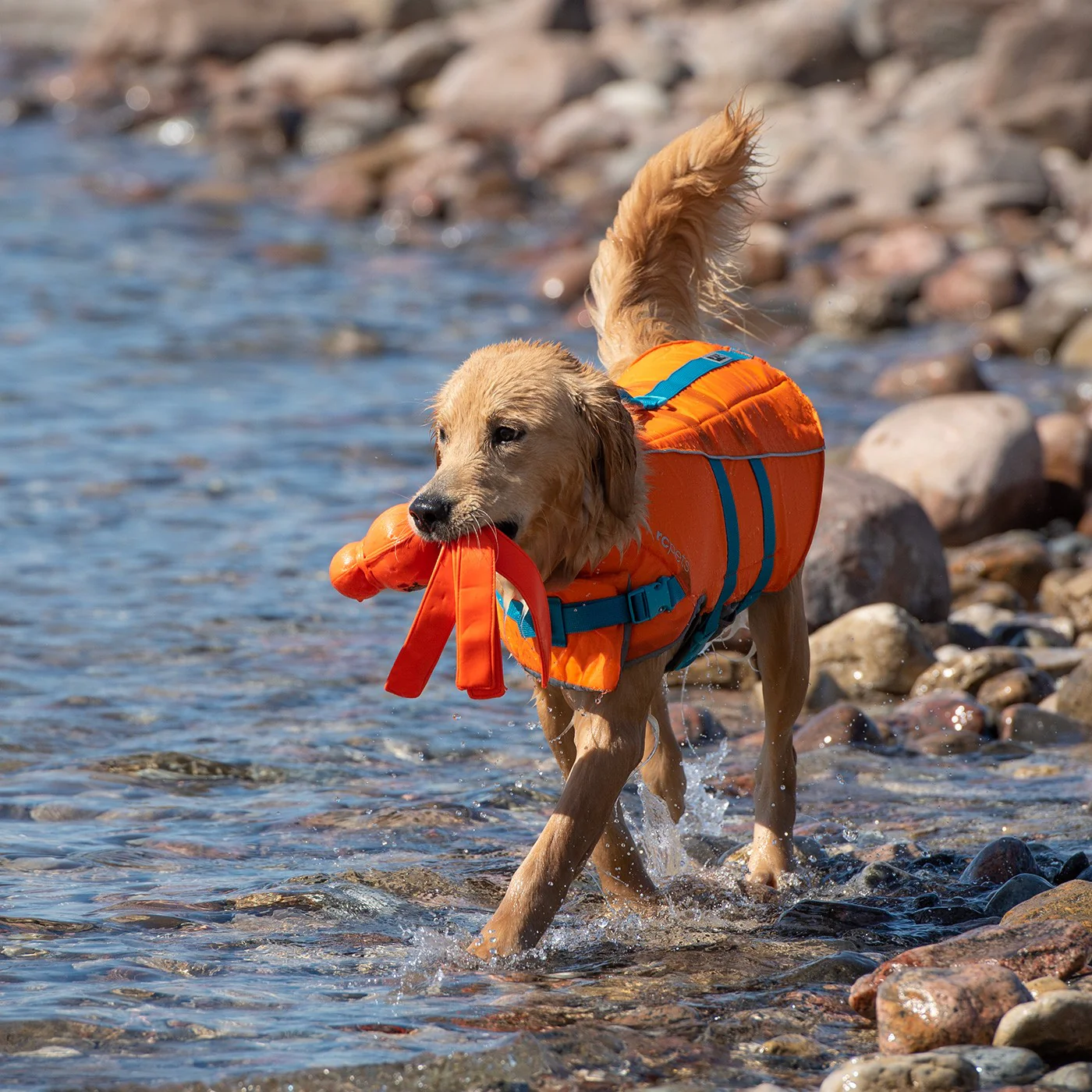 RC Pet Tidal Life Vest - Image 5