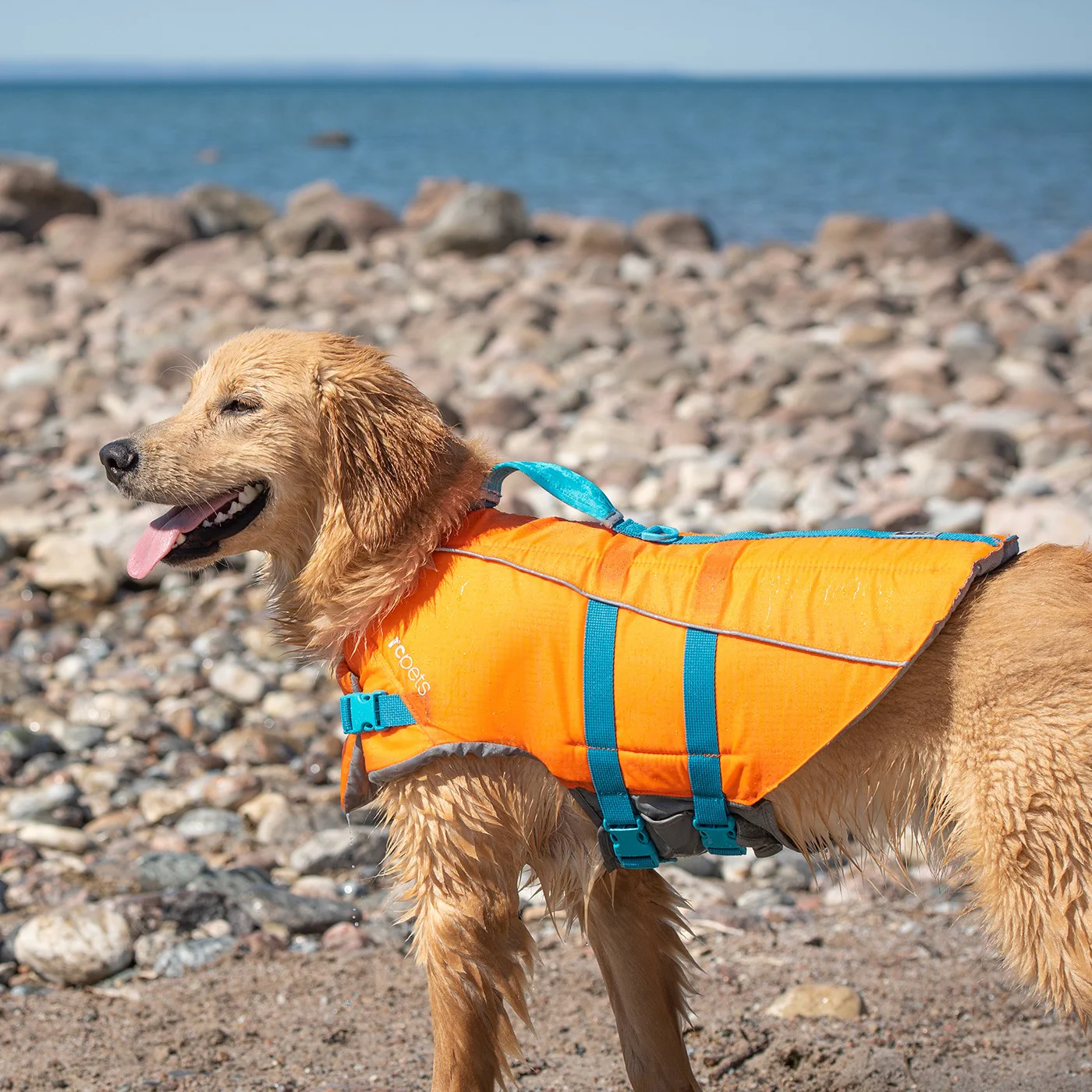 RC Pet Tidal Life Vest - Image 6
