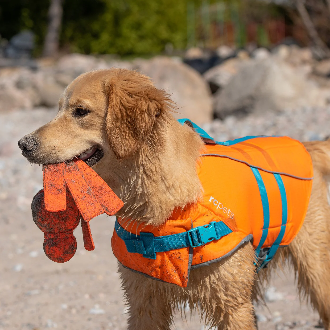 RC Pet Tidal Life Vest - Image 7