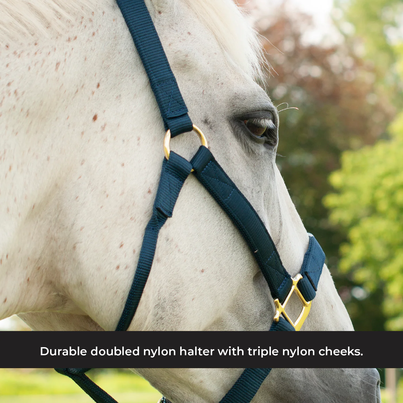 Shedrow Deluxe Halter - Image 21