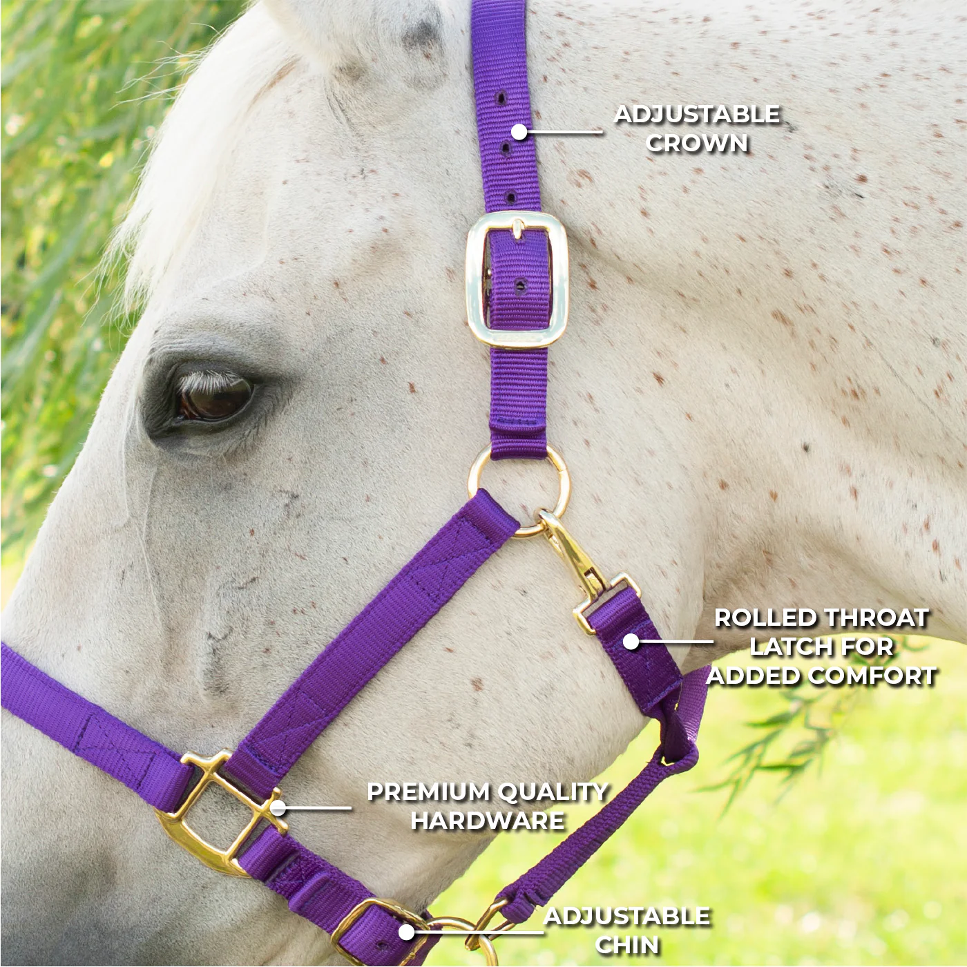 Shedrow Deluxe Halter - Image 29