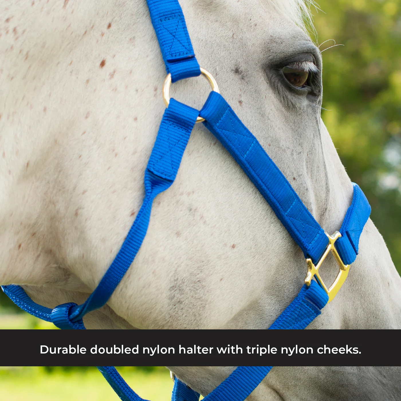 Shedrow Deluxe Halter - Image 3