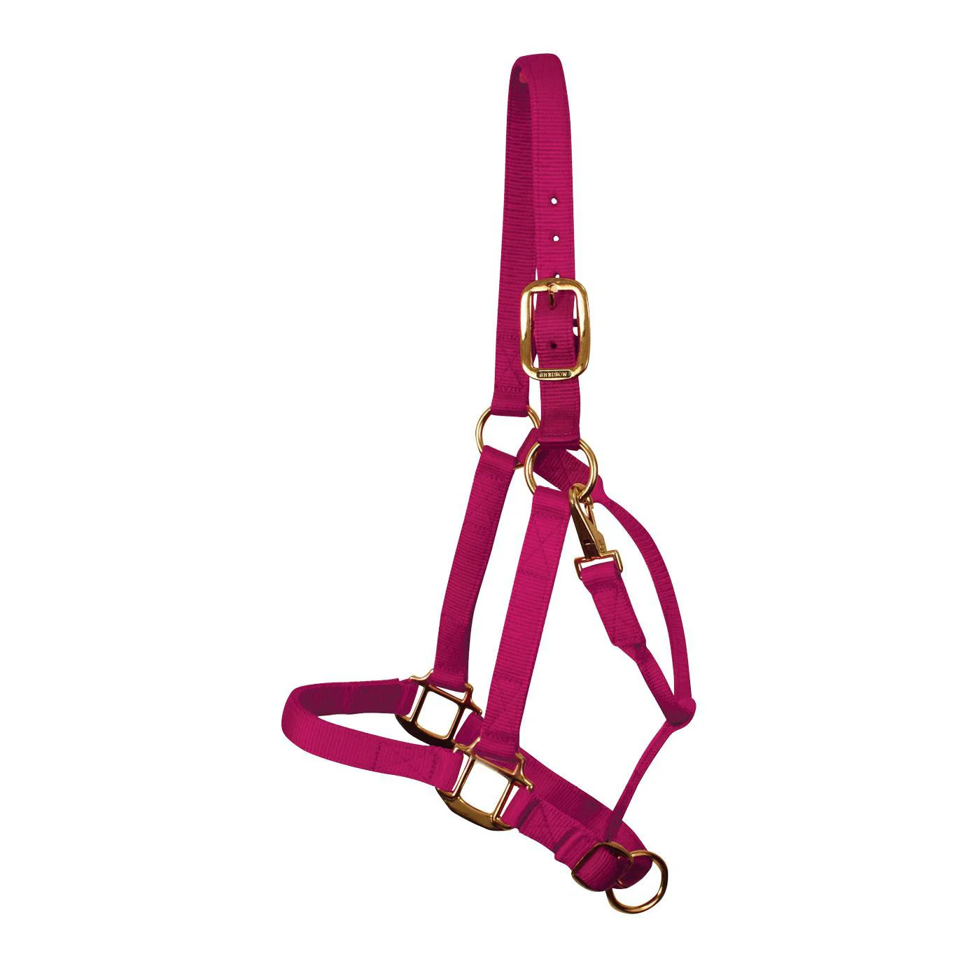 Shedrow Deluxe Halter - Image 32