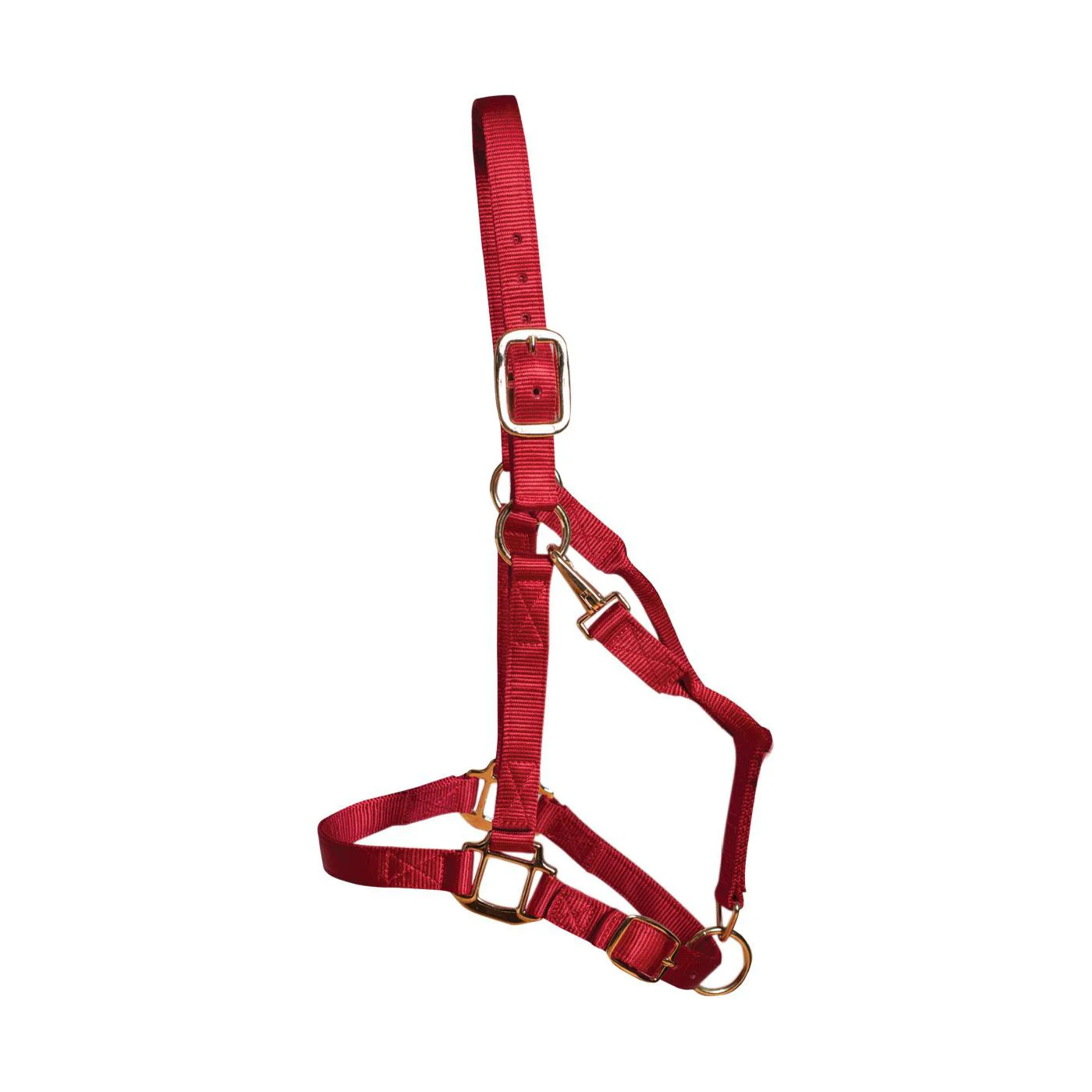 Shedrow Deluxe Halter - Image 38