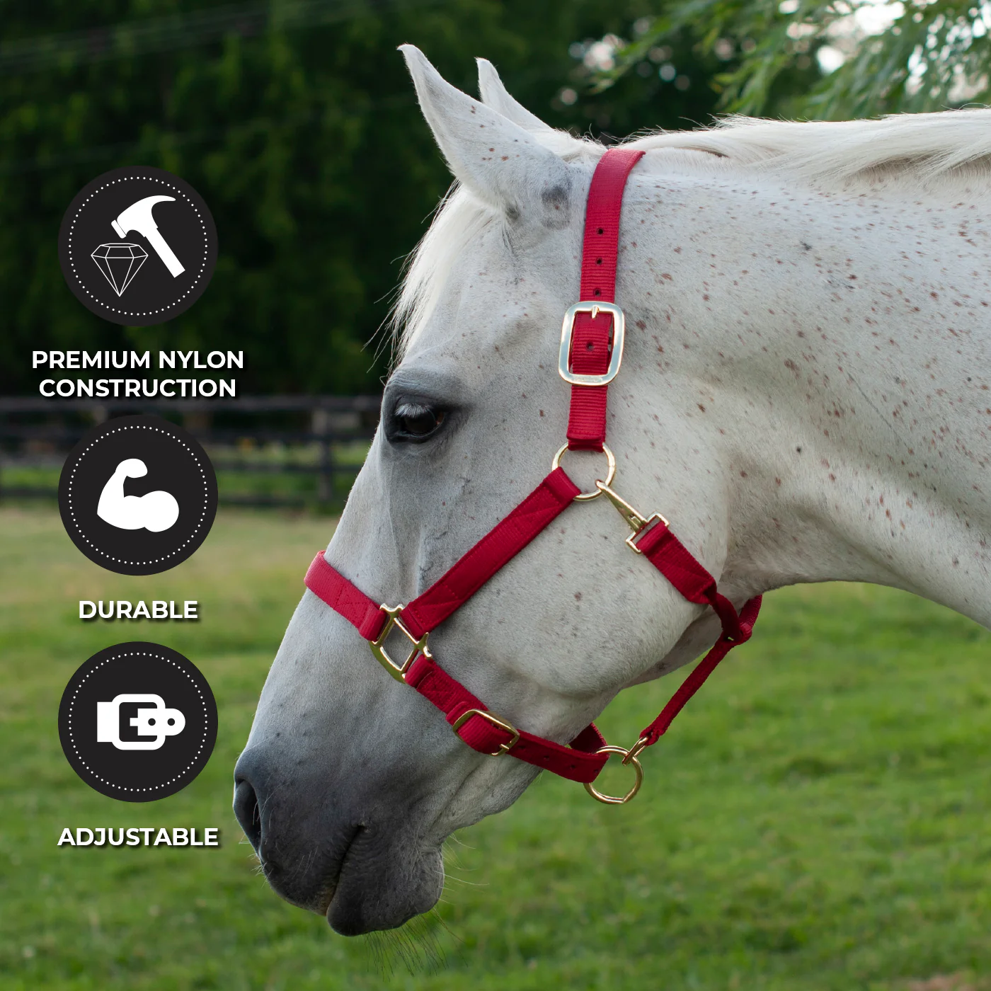 Shedrow Deluxe Halter - Image 39