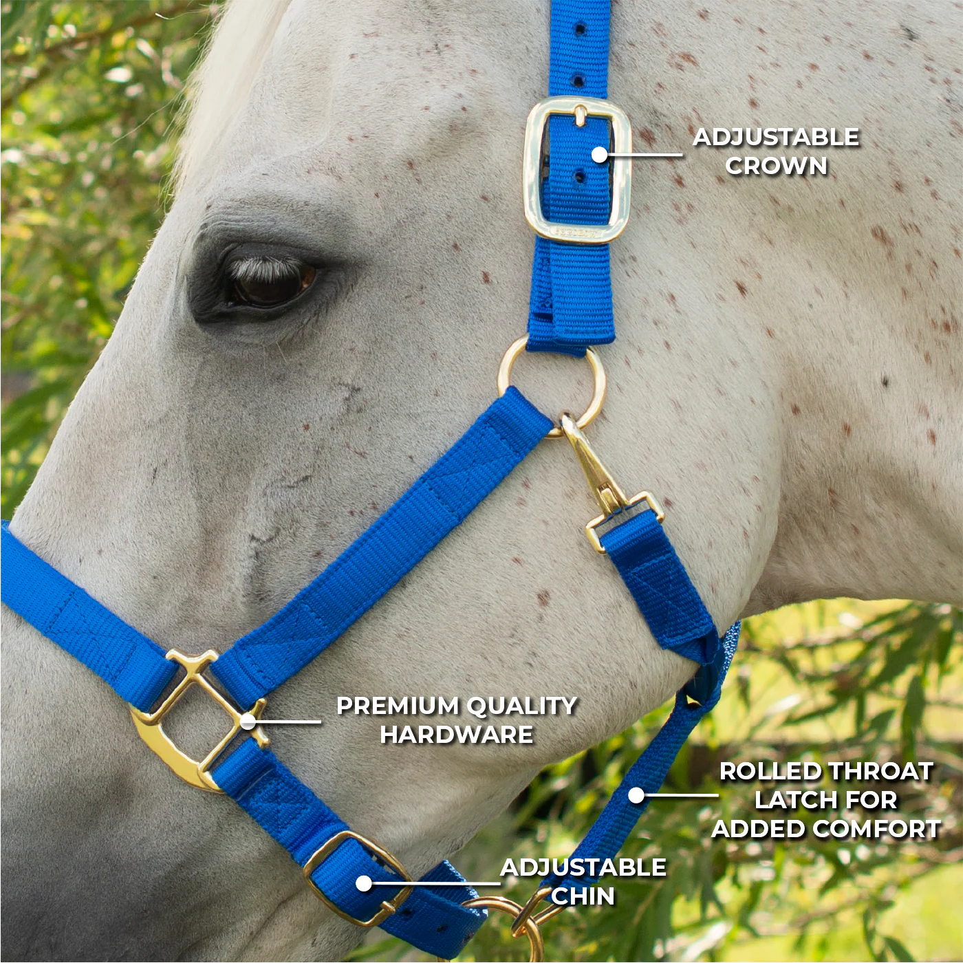 Shedrow Deluxe Halter - Image 4