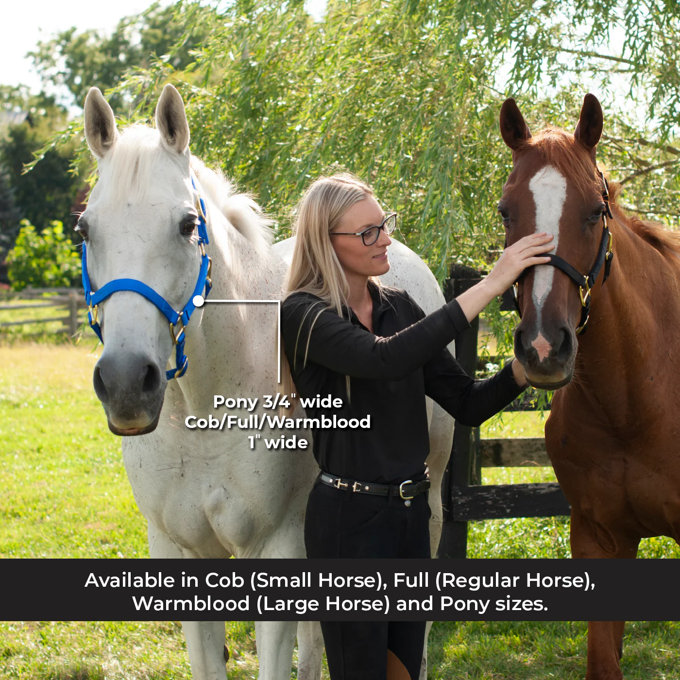 Shedrow Deluxe Halter - Image 42