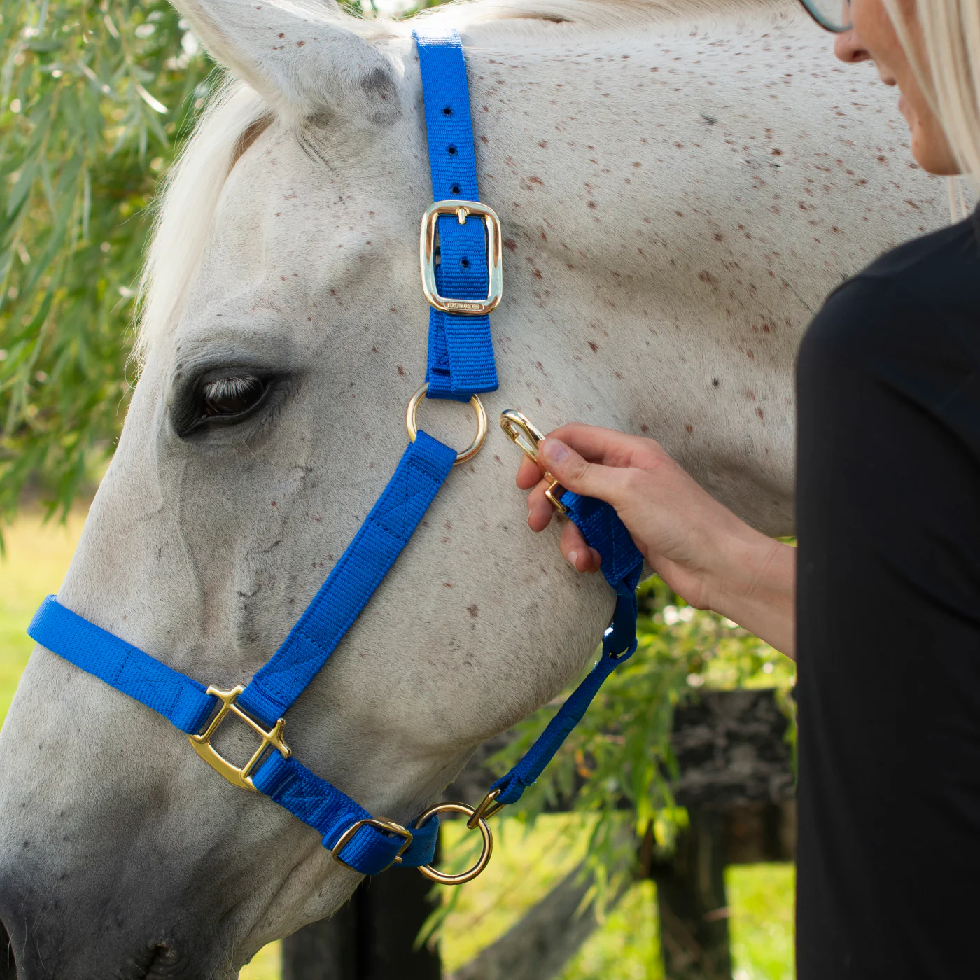 Shedrow Deluxe Halter - Image 6