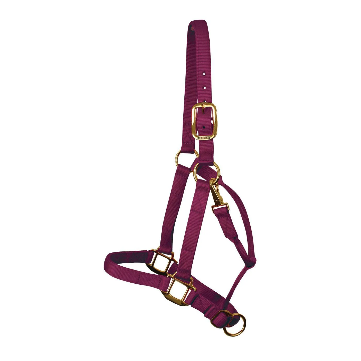 Shedrow Deluxe Halter - Image 7