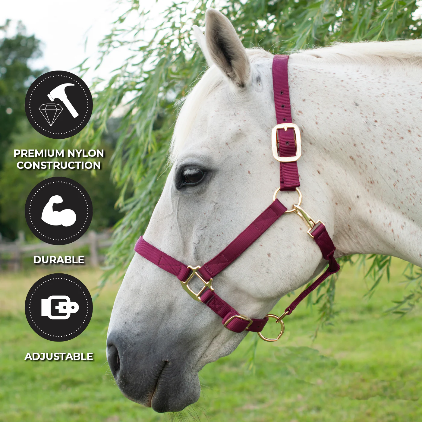 Shedrow Deluxe Halter - Image 8