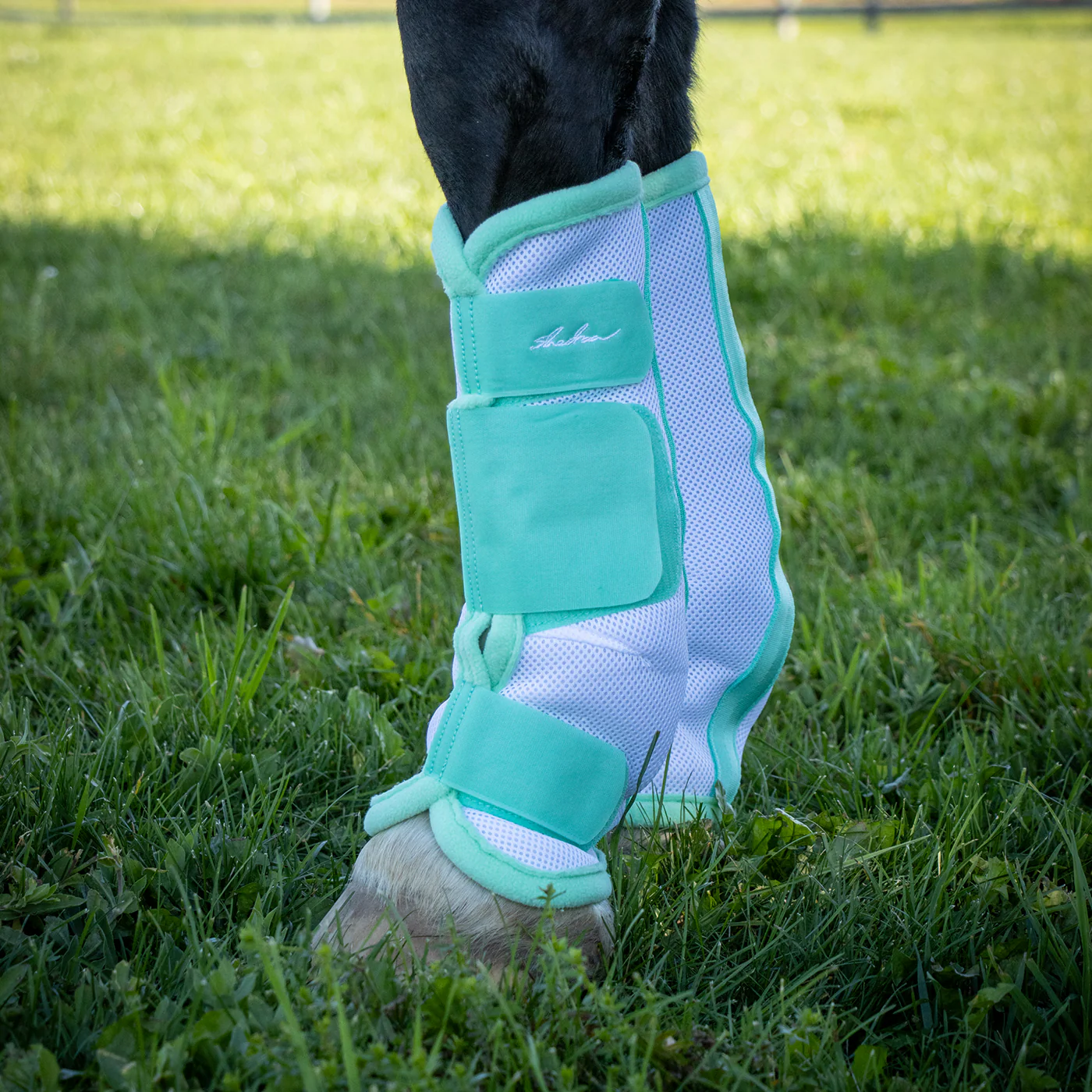 Shedrow Flamingo Breeze Fly Boots - Image 2