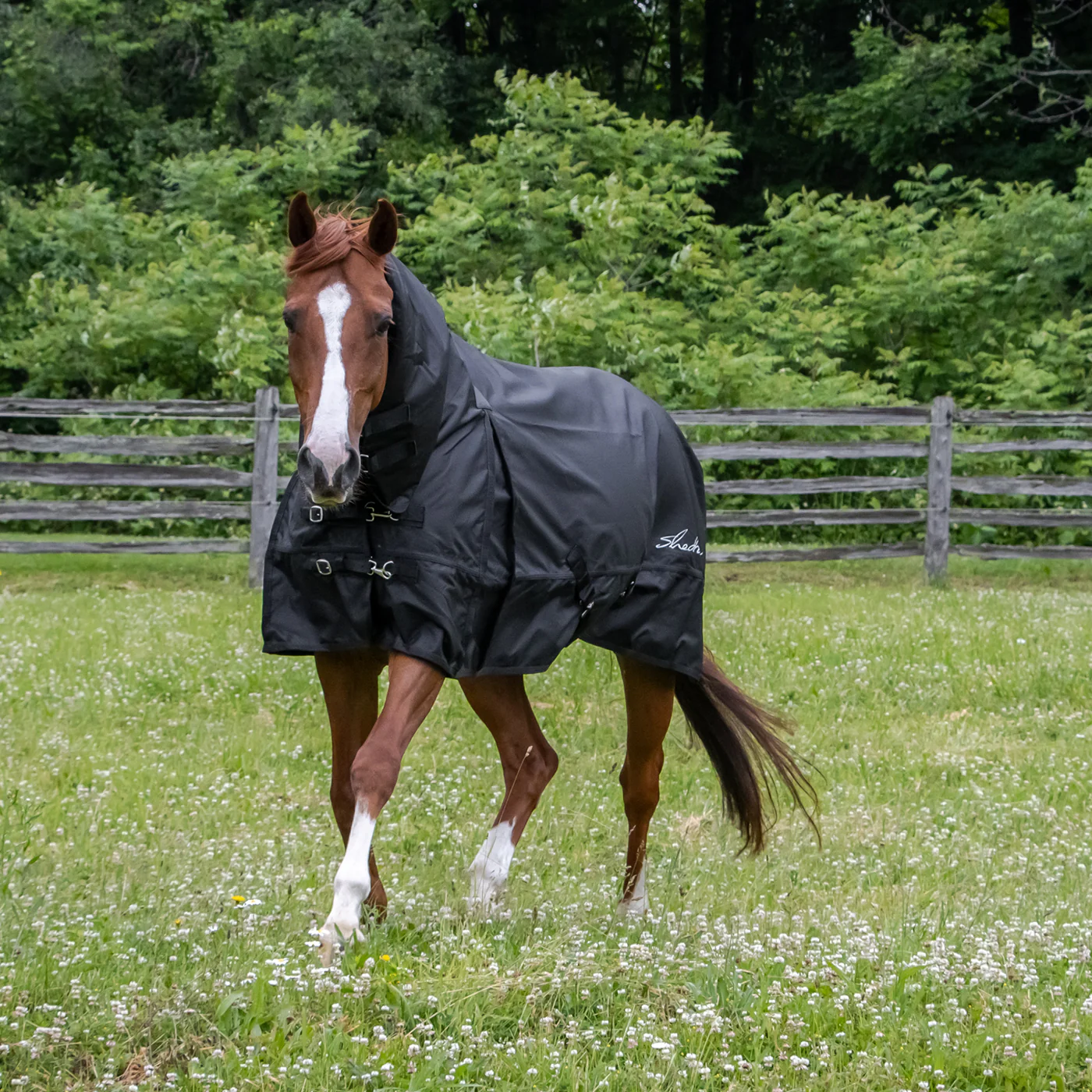 Shedrow Full Neck Rainsheet 0 g - Image 2