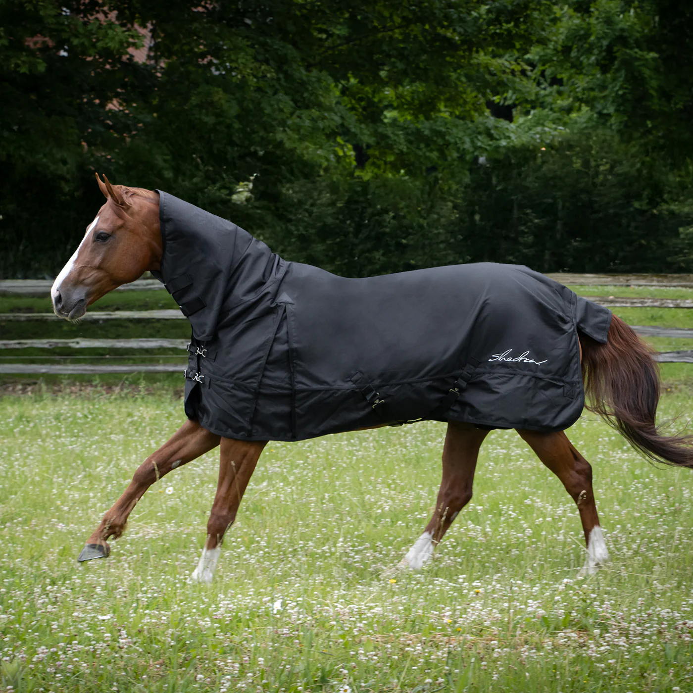 Shedrow Full Neck Rainsheet 0 g - Image 3