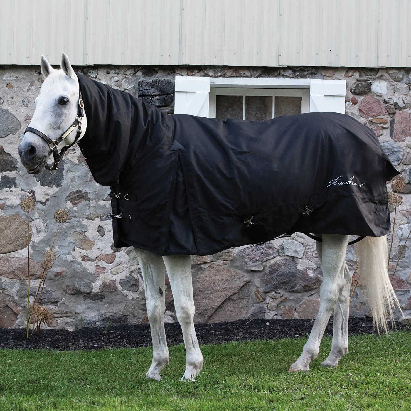 Shedrow Full Neck Turnout Blanket 300 g - Image 5