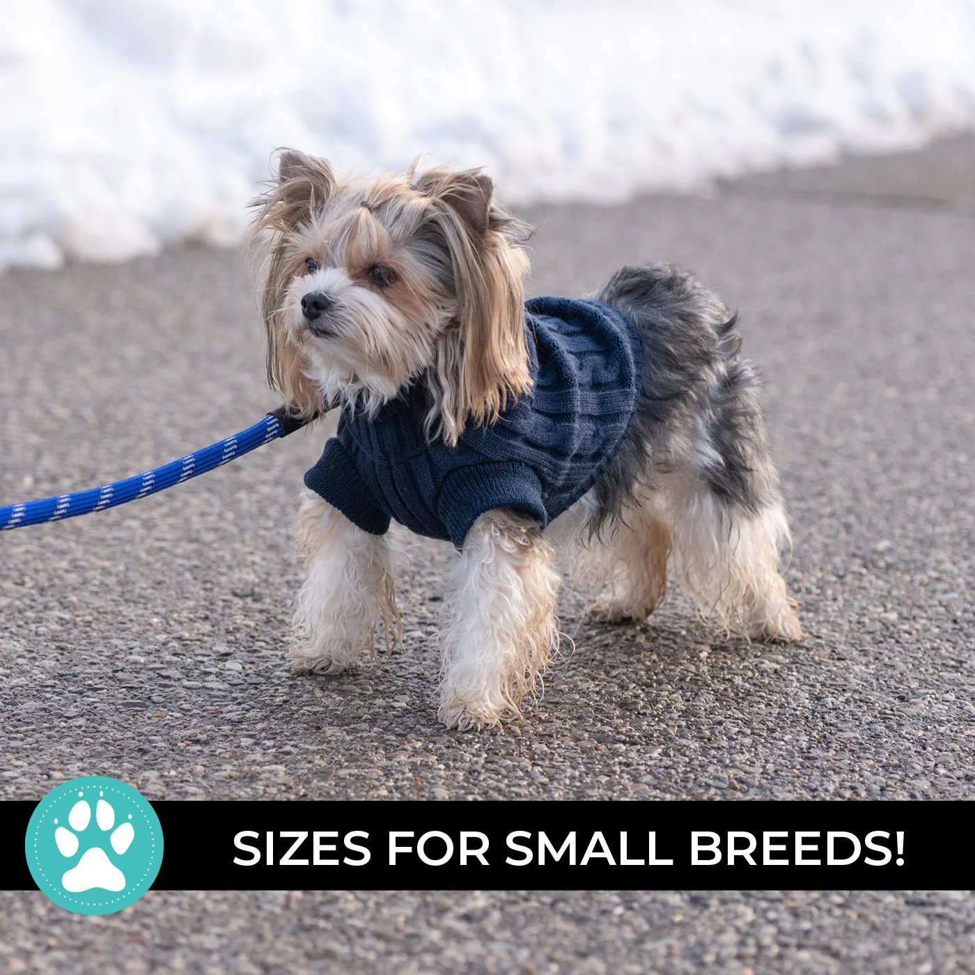 Shedrow K9 Brentwood Cable Knit Dog Sweater - Image 10