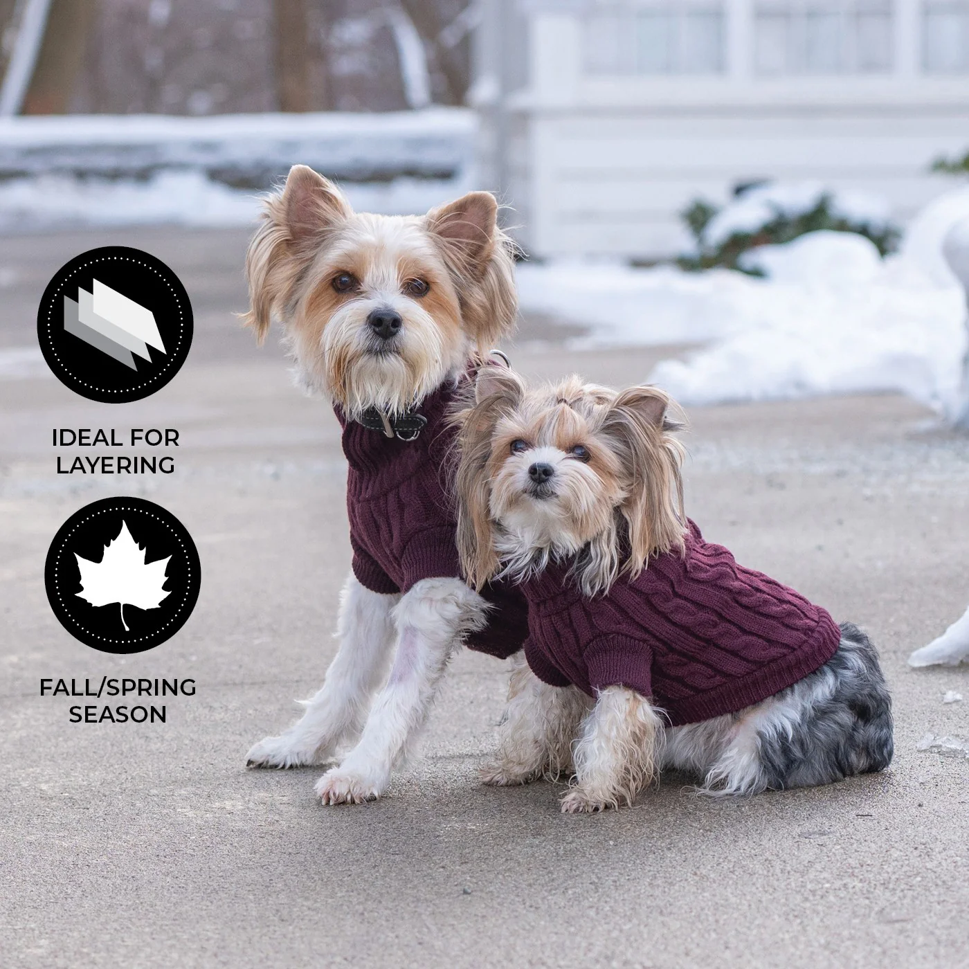 Shedrow K9 Brentwood Cable Knit Dog Sweater - Image 11