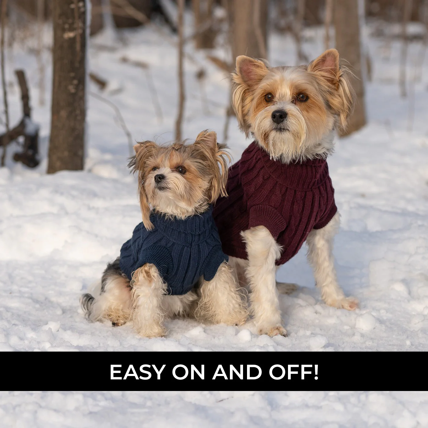 Shedrow K9 Brentwood Cable Knit Dog Sweater - Image 13