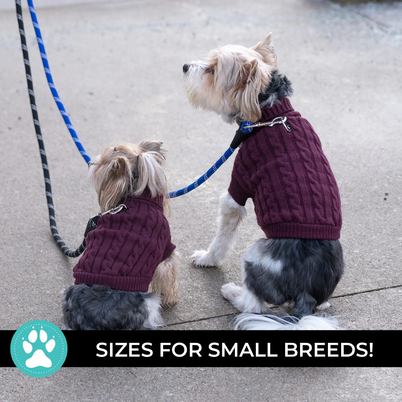 Shedrow K9 Brentwood Cable Knit Dog Sweater - Image 14