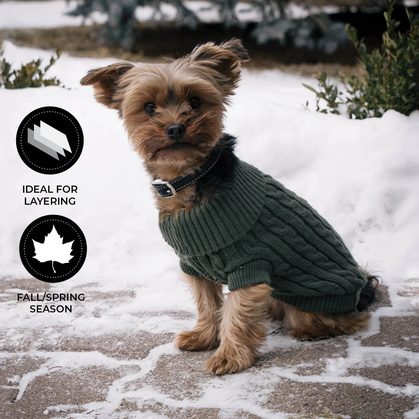 Shedrow K9 Brentwood Cable Knit Dog Sweater - Image 10