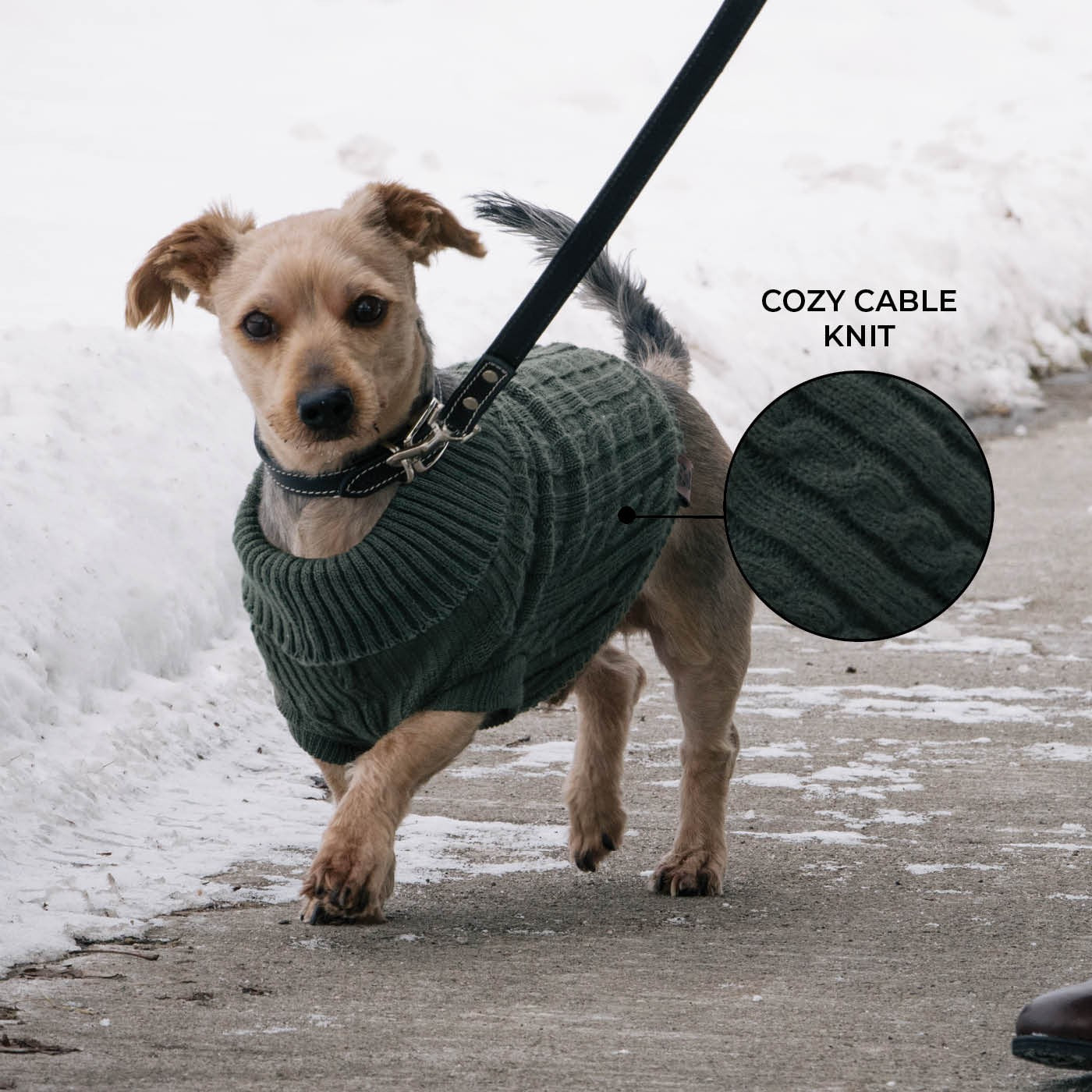 Shedrow K9 Brentwood Cable Knit Dog Sweater - Image 9