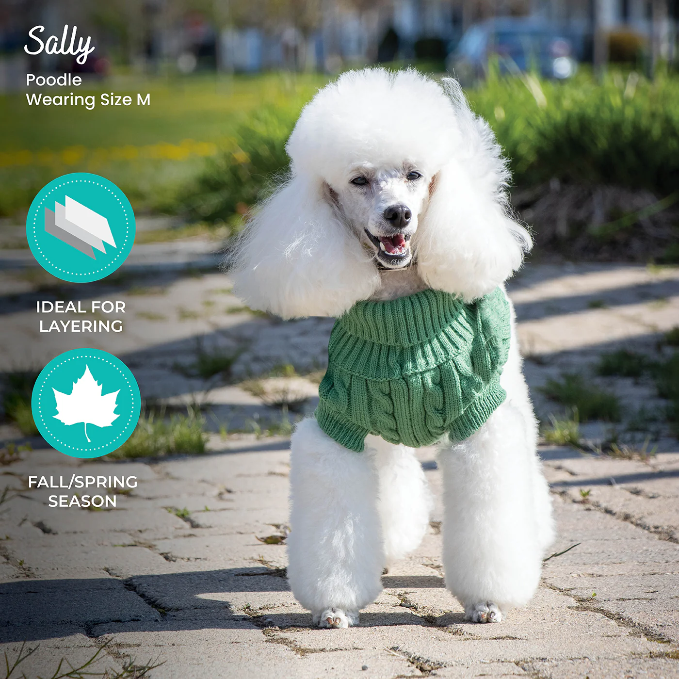 Shedrow K9 Brentwood Cable Knit Dog Sweater - Image 33