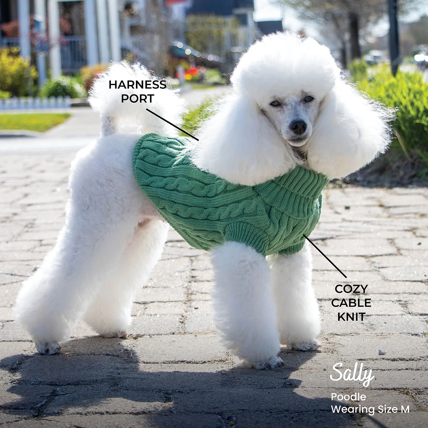 Shedrow K9 Brentwood Cable Knit Dog Sweater - Image 34