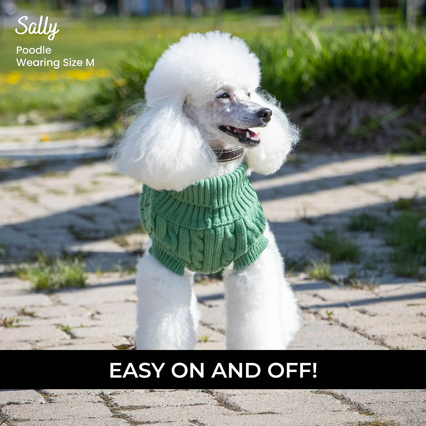 Shedrow K9 Brentwood Cable Knit Dog Sweater - Image 35