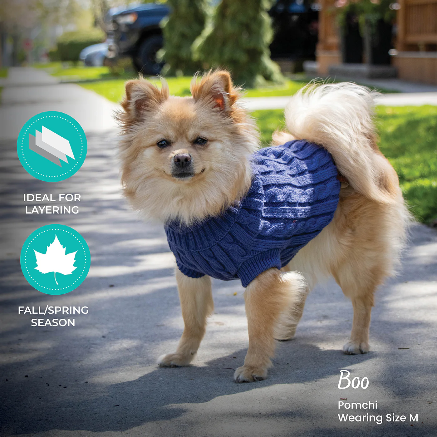 Shedrow K9 Brentwood Cable Knit Dog Sweater - Image 38