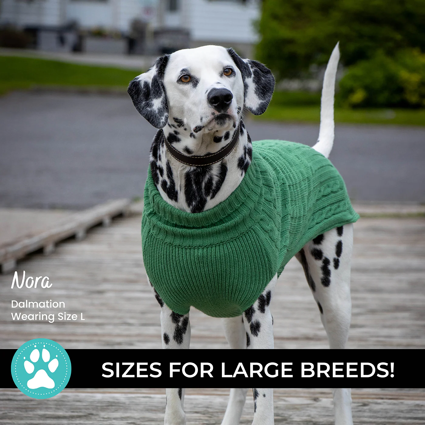 Shedrow K9 Brentwood Cable Knit Dog Sweater Plus - Image 25