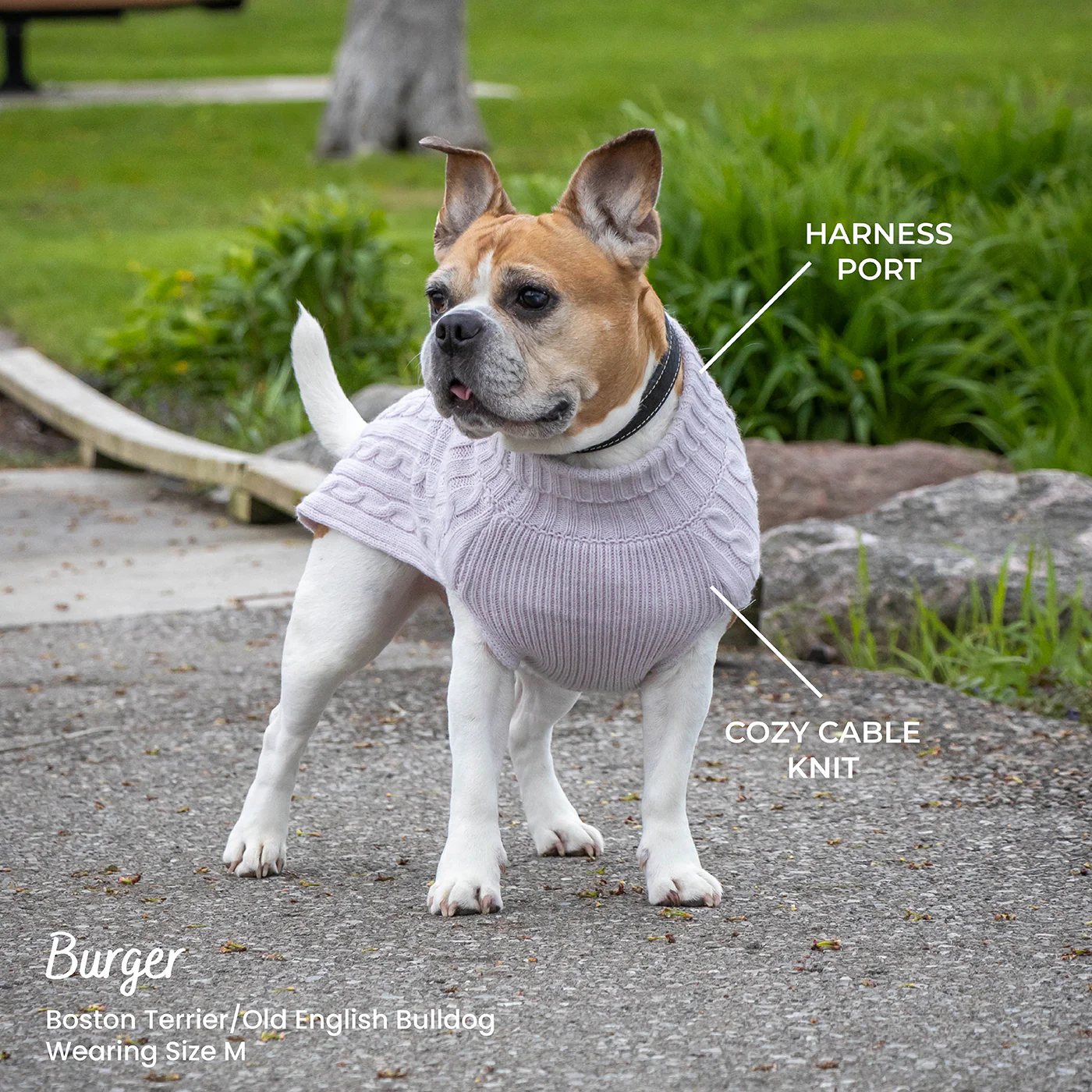 Shedrow K9 Brentwood Cable Knit Dog Sweater Plus - Image 3