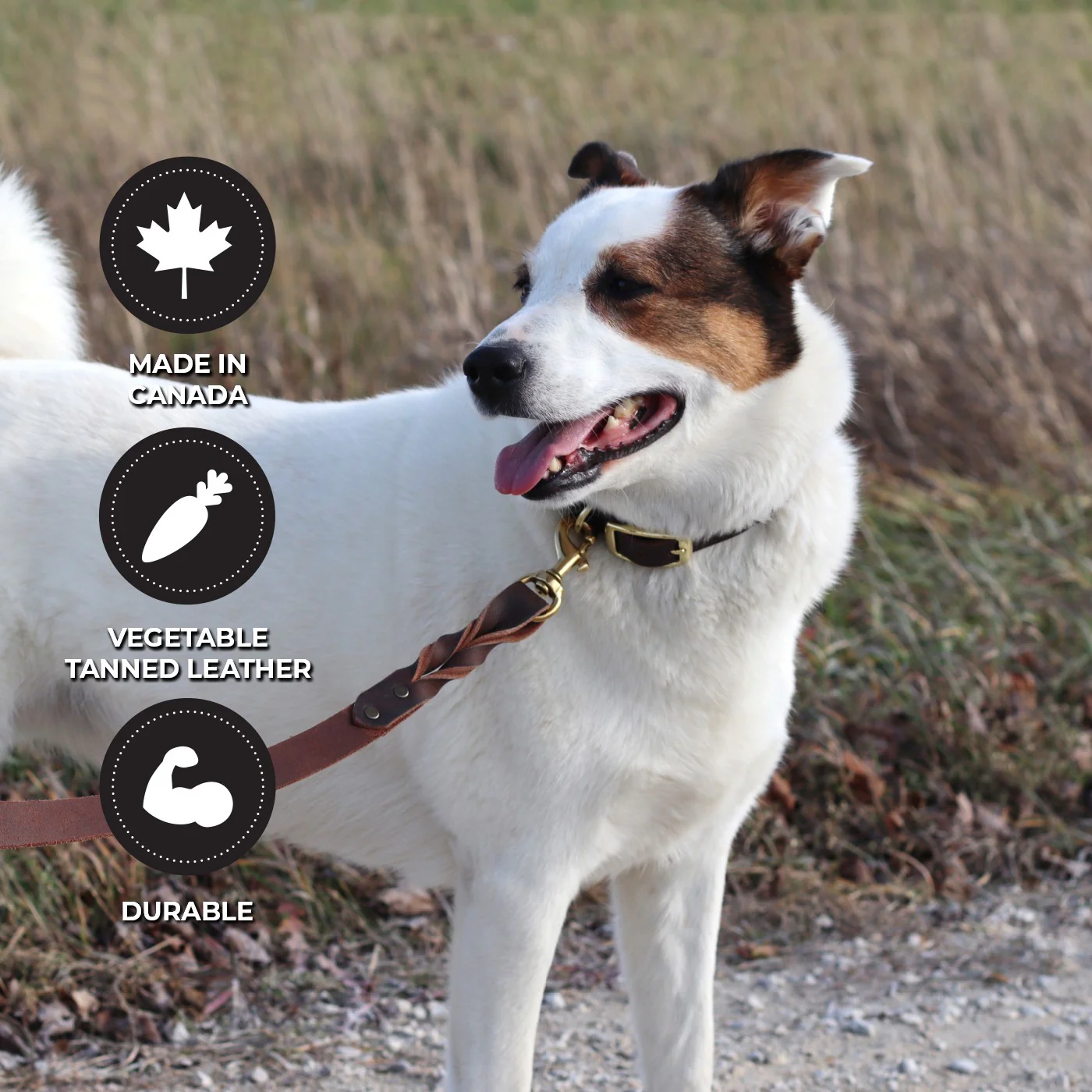 Shedrow K9 Bristol Twisted Leather Leash 1.5 m - Image 2