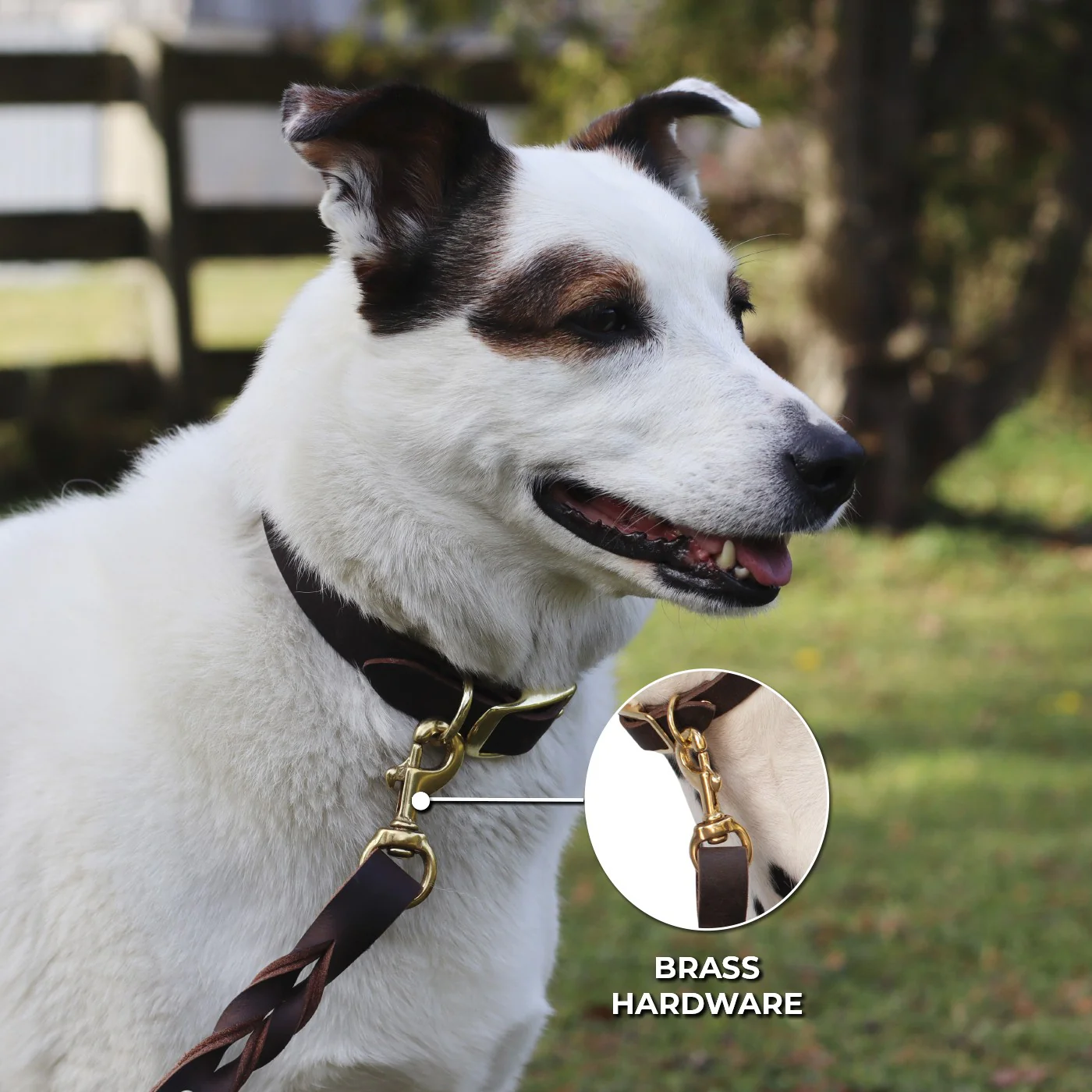 Shedrow K9 Bristol Twisted Leather Leash 1.5 m - Image 3