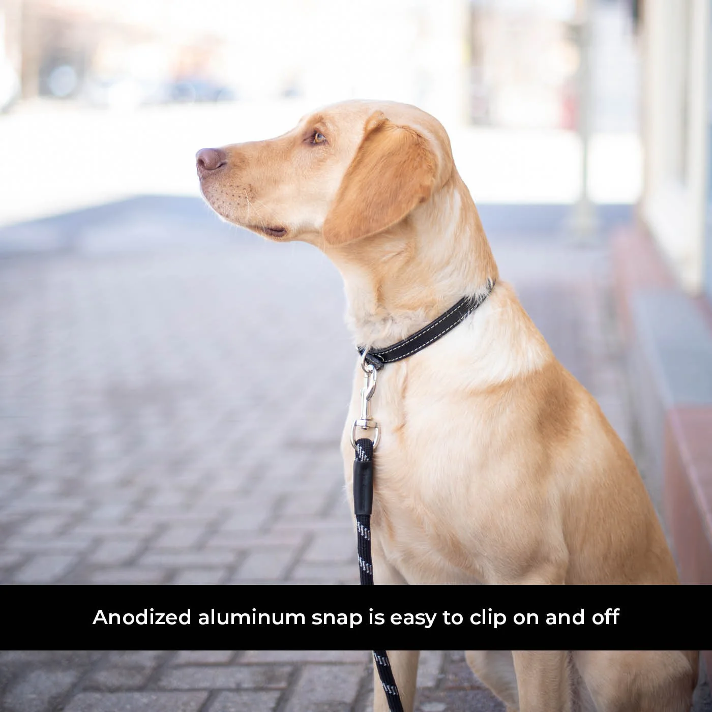 Shedrow K9 Camino Rope Leash - Image 18