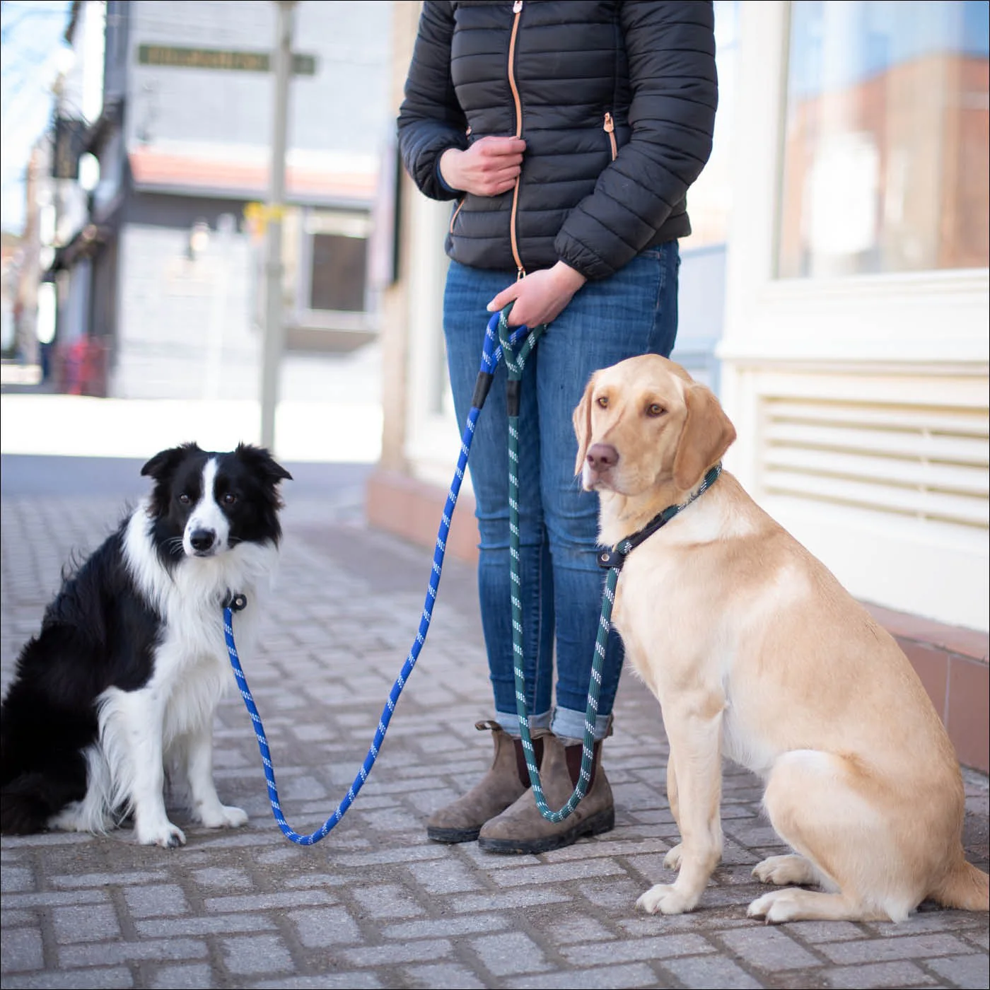 Shedrow K9 Camino Rope Slip Leash - Image 11
