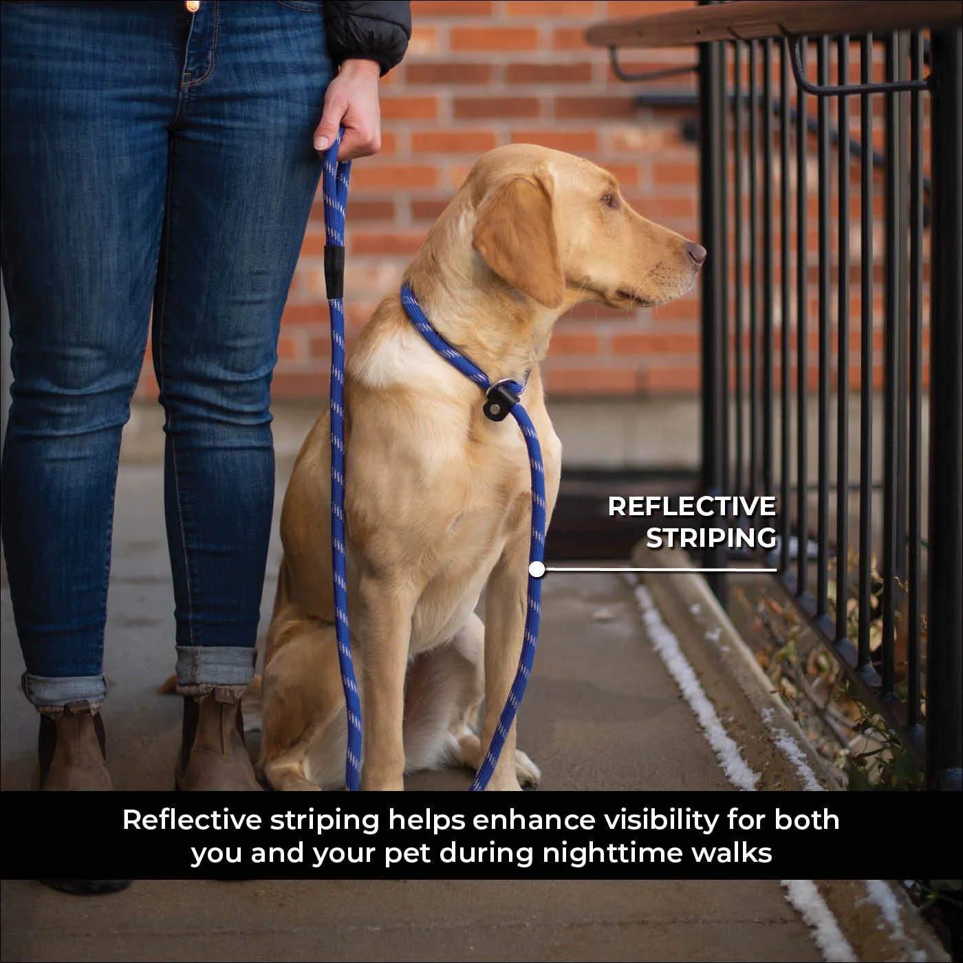 Shedrow K9 Camino Rope Slip Leash - Image 14