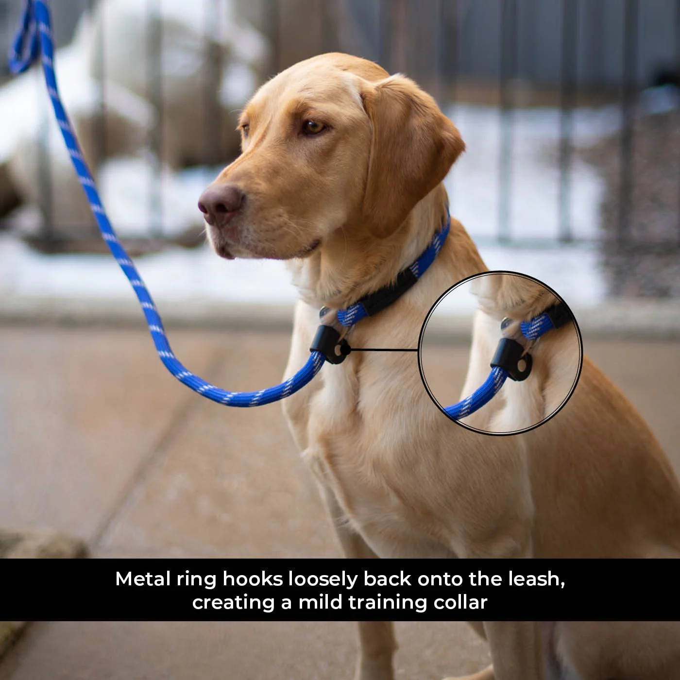 Shedrow K9 Camino Rope Slip Leash - Image 15