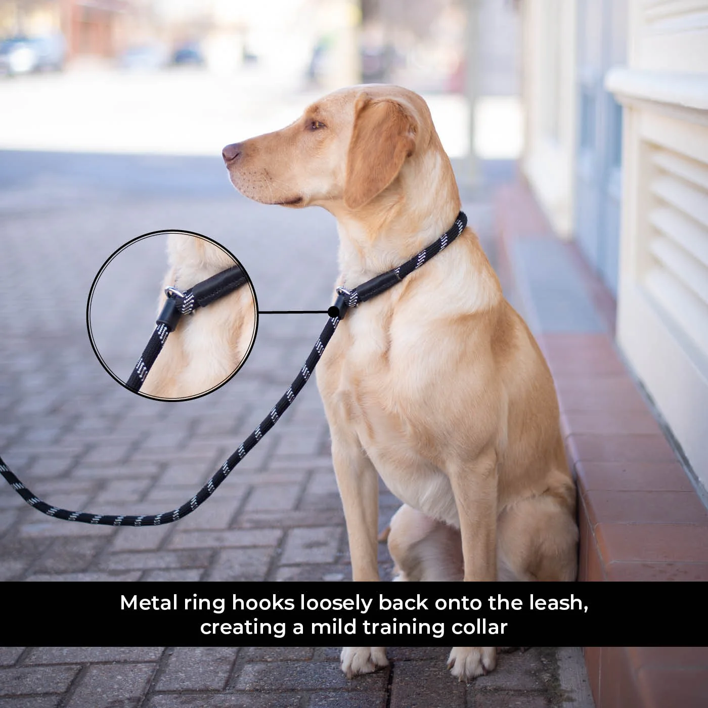 Shedrow K9 Camino Rope Slip Leash - Image 21