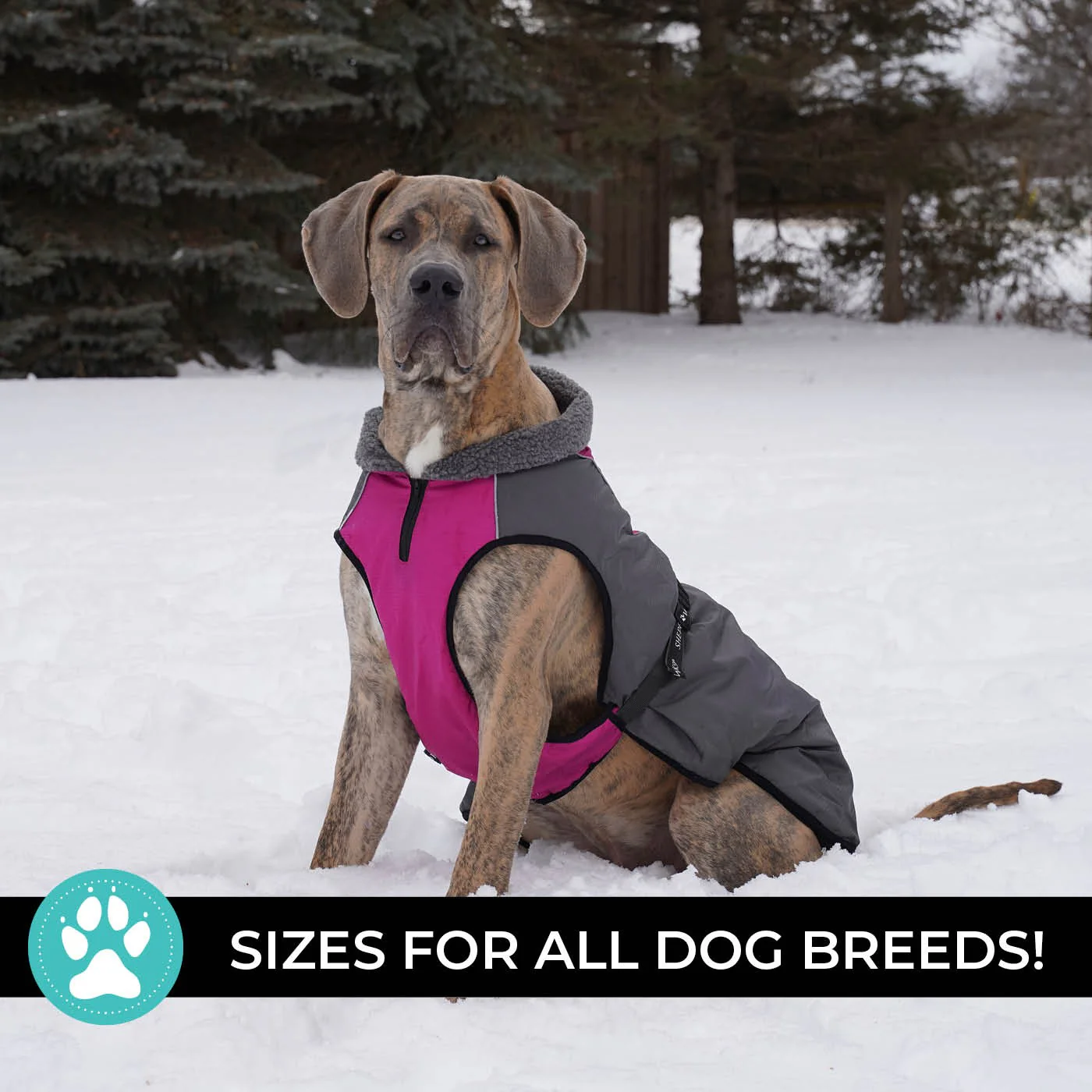 Shedrow K9 Chinook Dog Coat - Image 9