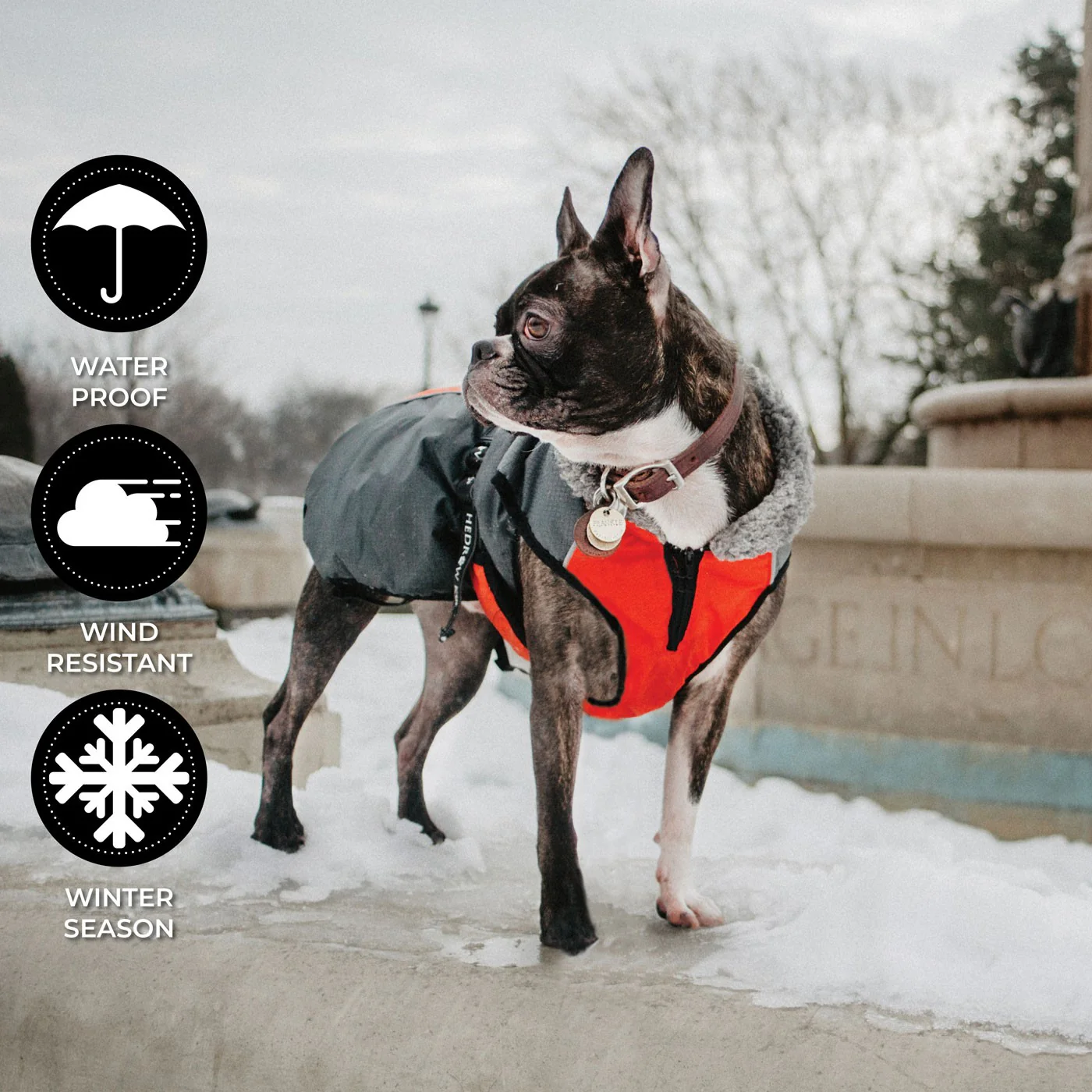 Shedrow K9 Chinook Dog Coat - Image 16