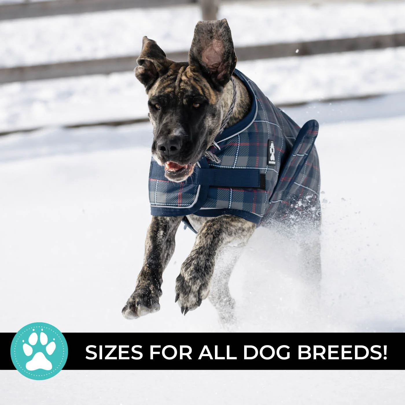 Shedrow K9 Expedition Dog Coat - Image 18