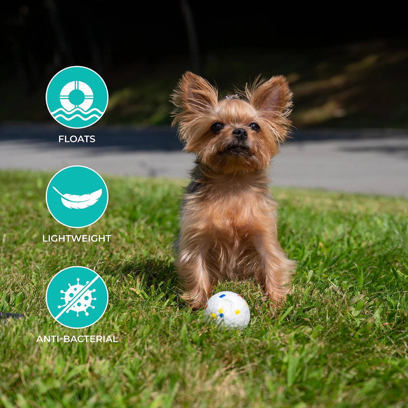 Shedrow K9 FlexiPlay Ball - Image 14