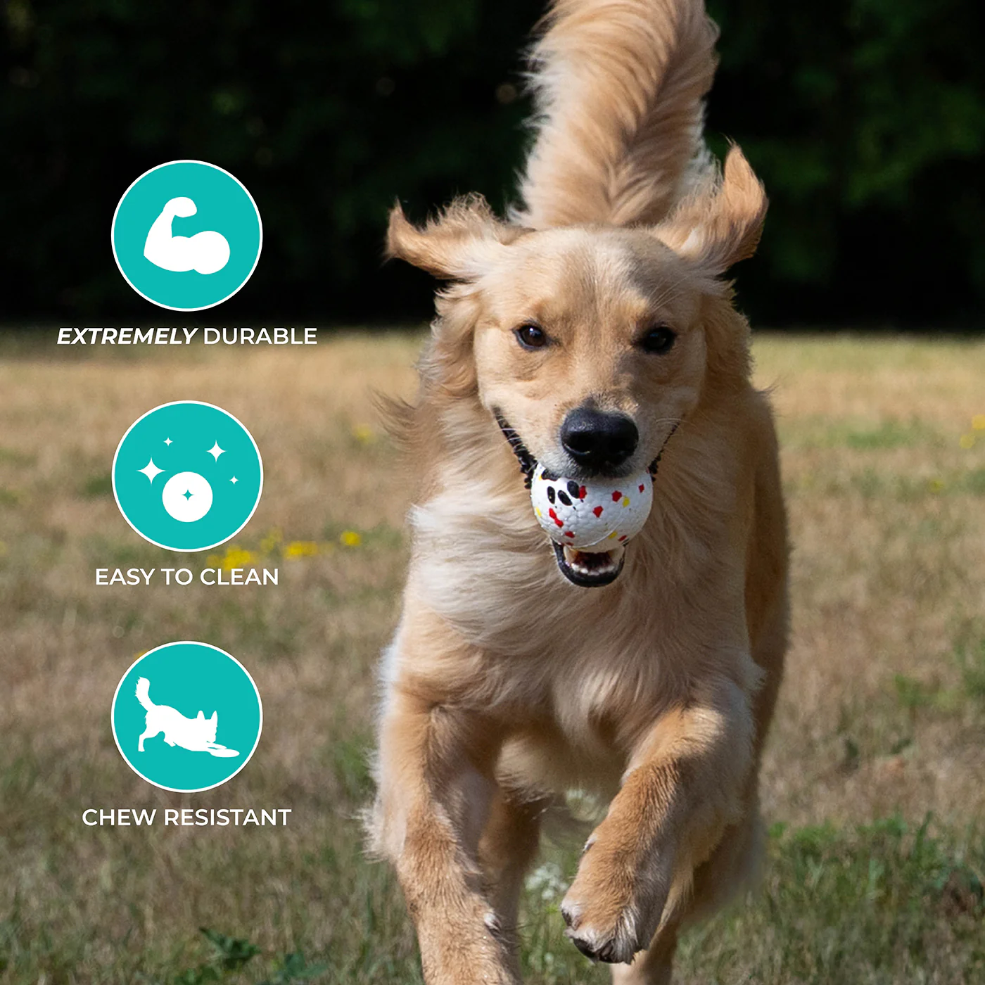 Shedrow K9 FlexiPlay Ball - Image 3